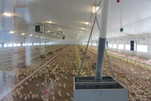Bâtiments en acier pour l'agriculture de poulets de chair de volaille pour poulailler
